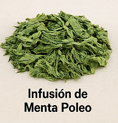 Infusión de Menta Poleo